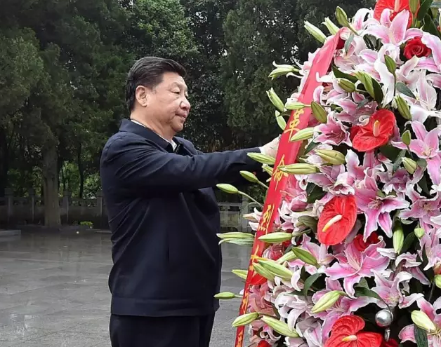 【重磅】习近平考察安徽金寨光伏扶贫项目